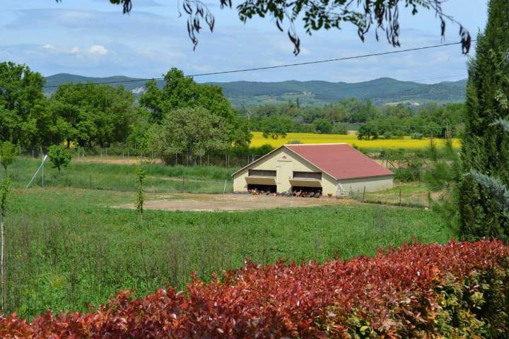 Ferme avicole Saint-Jean-de-Maruéjols-et-Avéjan