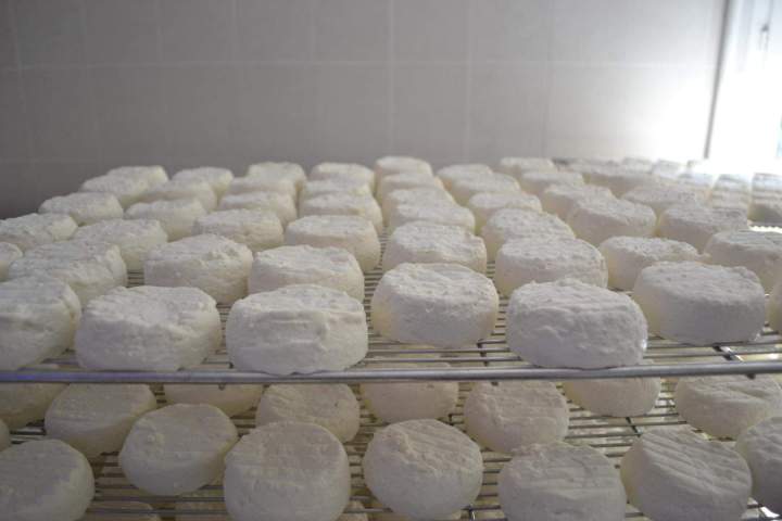 Savoir-faire traditionnel en produits laitiers à Saint-Jean-de-Maruéjols-et-Avéjan