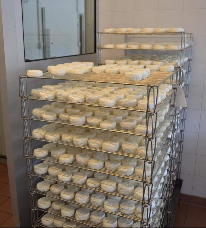 Production de produits laitiers Saint-Jean-de-Maruéjols-et-Avéjan