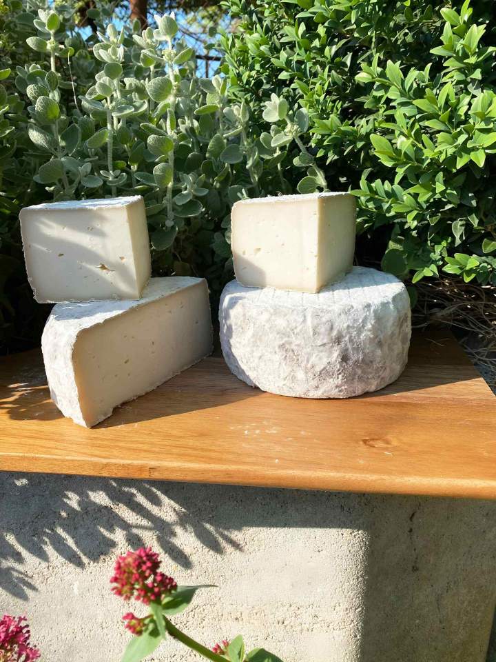 Fromage à pâte dure Saint-Jean-de-Maruéjols-et-Avéjan