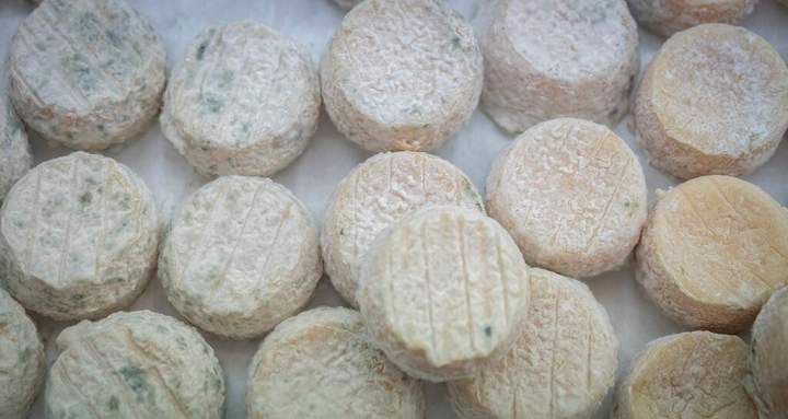 Création de spécialités fromagères Saint-Jean-de-Maruéjols-et-Avéjan