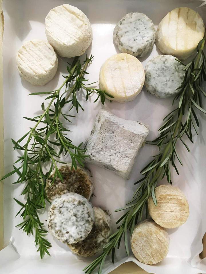 Production de fromage au lait de chèvre Saint-Jean-de-Maruéjols-et-Avéjan