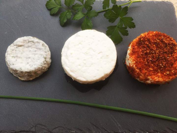 Fromage au lait de chèvre artisanal Saint-Jean-de-Maruéjols-et-Avéjan