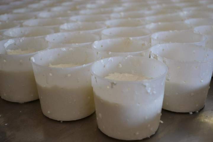 Fabrication artisanale de fromages et laitages à Saint-Jean-de-Maruéjols-et-Avéjan