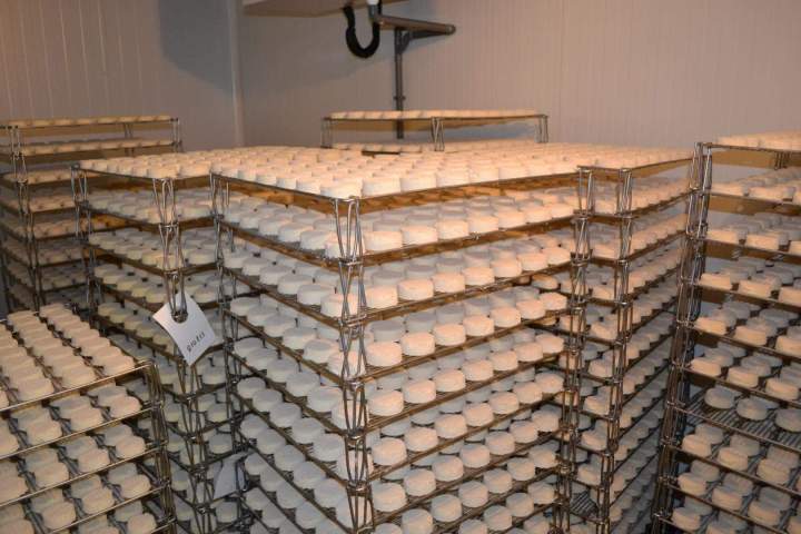 Transformation locale du lait en fromages à Saint-Jean-de-Maruéjols-et-Avéjan