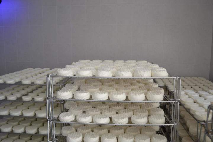 Atelier fermier de produits laitiers à Saint-Jean-de-Maruéjols-et-Avéjan