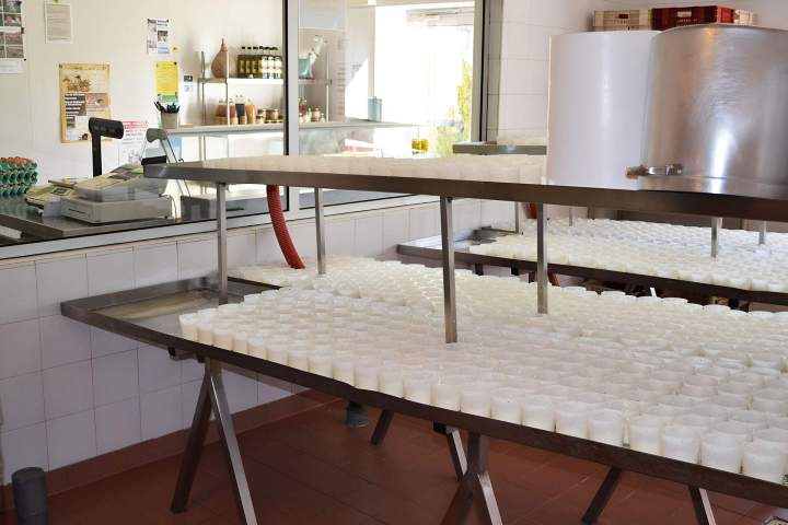 Production yaourt artisanal Saint-Jean-de-Maruéjols-et-Avéjan