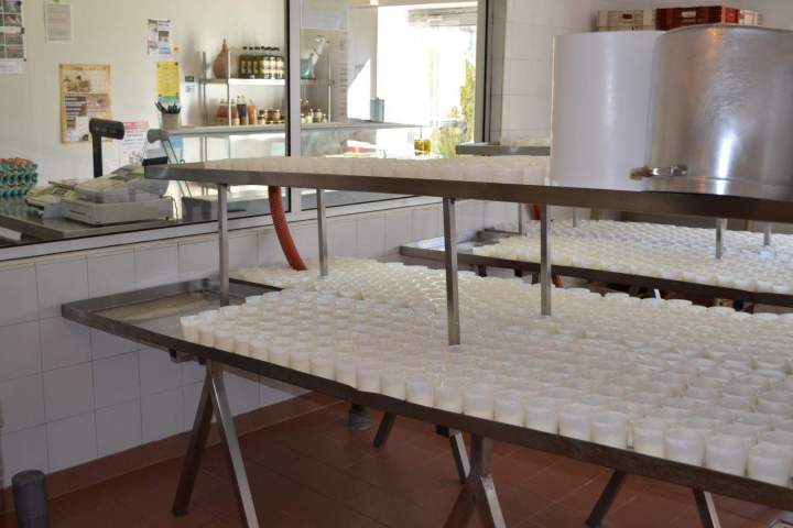 Produits laitiers Saint-Jean-de-Maruéjols-et-Avéjan