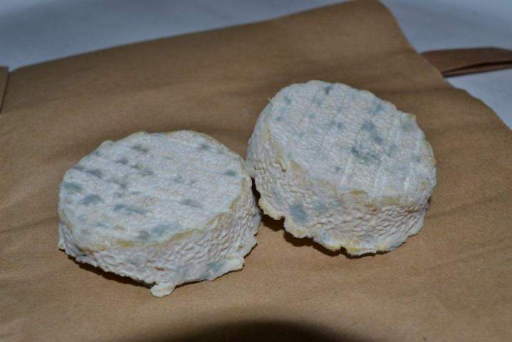 Fabrication artisanale de fromages Saint-Jean-de-Maruéjols-et-Avéjan