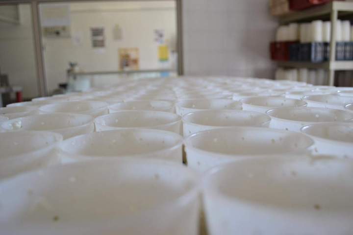 Élaboration de fromages fermiers et yaourts à Saint-Jean-de-Maruéjols-et-Avéjan