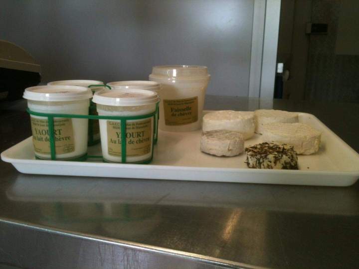 Spécialiste du yaourt au lait de chèvre Saint-Jean-de-Maruéjols-et-Avéjan