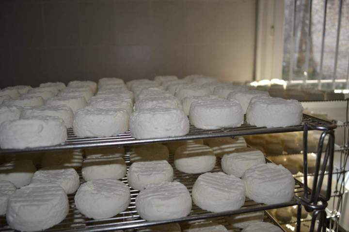 Fabrication artisanale de fromages Saint-Jean-de-Maruéjols-et-Avéjan