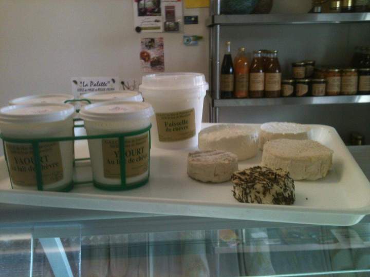 Producteur de yaourt au lait de chèvre Saint-Jean-de-Maruéjols-et-Avéjan