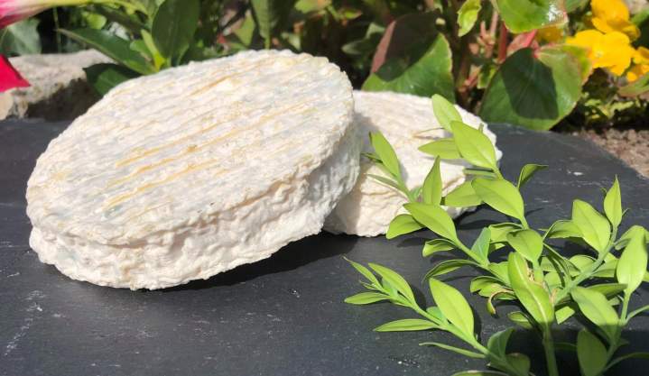 Fromage de chèvre Saint-Jean-de-Maruéjols-et-Avéjan