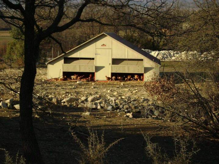 Élevage de volaille Saint-Jean-de-Maruéjols-et-Avéjan
