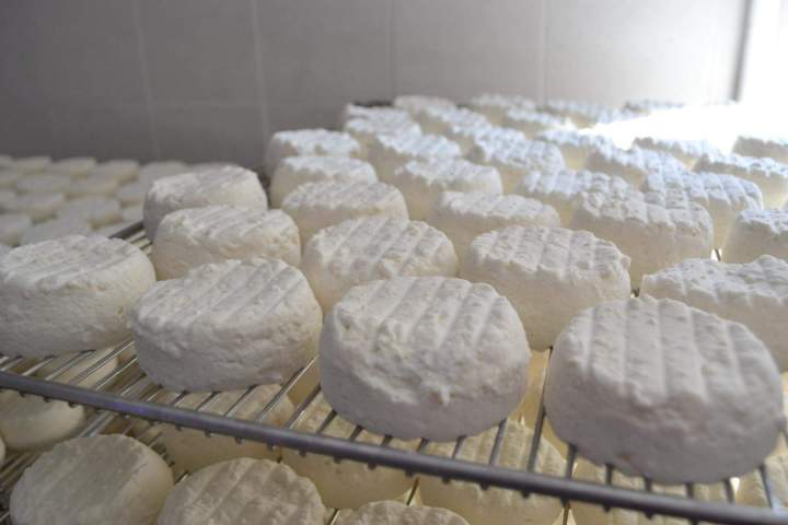 Fromage de chèvre Saint-Jean-de-Maruéjols-et-Avéjan