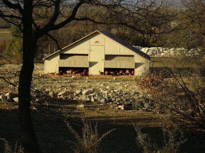 Poulailler Saint-Jean-de-Maruéjols-et-Avéjan