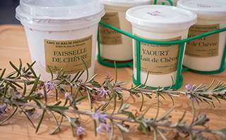 Vente yaourt au lait de chèvre Saint-Jean-de-Maruéjols-et-Avéjan