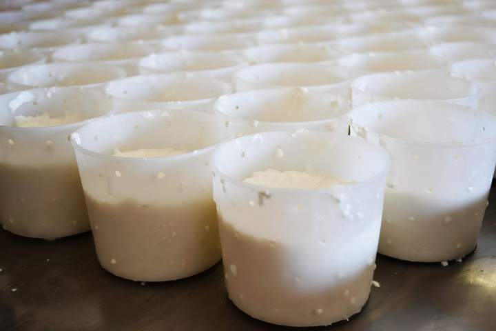 Processus transformation lait de chèvre Saint-Jean-de-Maruéjols-et-Avéjan