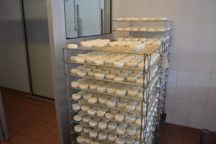 Fabrication artisanale de fromages Saint-Jean-de-Maruéjols-et-Avéjan